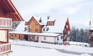 Apartmány Forest Videc (zima)***