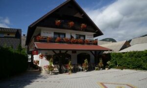 Hostel Vila Bistrica